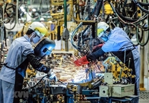 Nhiệm vụ, giải pháp chủ yếu thực hiện Kế hoạch phát triển kinh tế - xã hội năm 2020