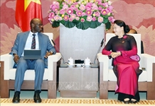 Việt Nam sẽ trở thành hình mẫu cho các quốc gia đang phát triển