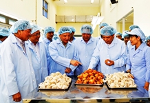 Phát huy vai trò lãnh đạo của Đảng, nâng cao hiệu quả sản xuất, kinh doanh