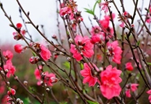 Vững tin bước vào năm mới!