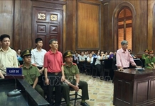 Đừng phá lúa chín trên cánh đồng từng nhiều dông bão