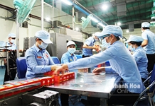 Niềm hy vọng đầu năm