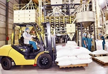 Ðộng lực và kỳ vọng phát triển năm 2021