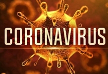 Xử lý nghiêm tổ chức, cá nhân đưa thông tin không chính xác về tình hình dịch bệnh