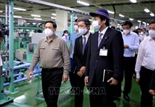 Bản tin 35 Online: Tự do phải trong khuôn khổ của pháp luật