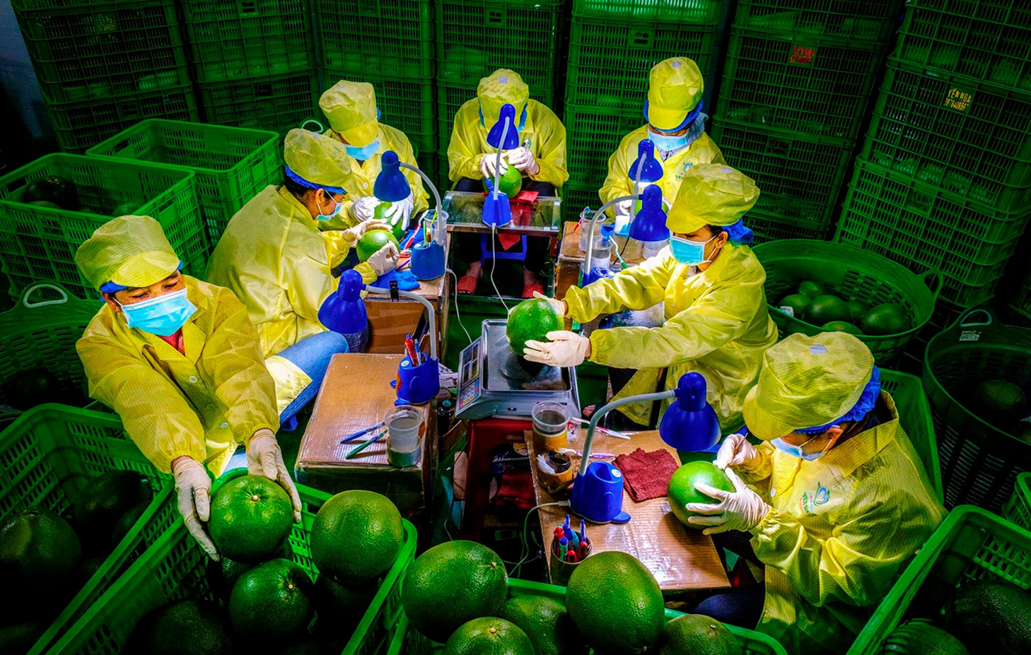 Kinh tế xanh - Yêu cầu tất yếu của phát triển