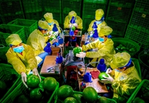 Kinh tế xanh - Yêu cầu tất yếu của phát triển