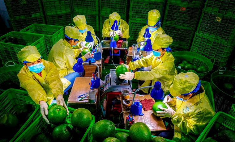 Kinh tế xanh - Yêu cầu tất yếu của phát triển