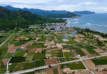 Khánh Hòa: Nỗ lực “khơi thông” điểm nghẽn trong giải phóng mặt bằng, tạo đà bứt phá cho các dự án trọng điểm