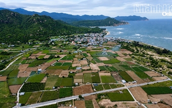 Khánh Hòa: Nỗ lực “khơi thông” điểm nghẽn trong giải phóng mặt bằng, tạo đà bứt phá cho các dự án trọng điểm