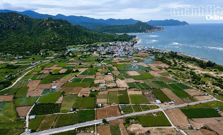 Khánh Hòa: Nỗ lực “khơi thông” điểm nghẽn trong giải phóng mặt bằng, tạo đà bứt phá cho các dự án trọng điểm