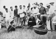 Tư tưởng Hồ Chí Minh về hợp tác xã và sự vận dụng ở Việt Nam trong kỷ nguyên mới