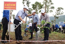 Khánh Hòa phát động "Tết trồng cây đời đời nhớ ơn Bác Hồ" nhân dịp Xuân Nhâm Dần 2022