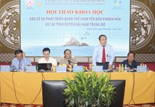 Cấp bách bảo vệ quần thể chim yến đảo