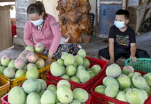 Chào mừng Đại hội đại biểu Hội Nông dân tỉnh Khánh Hòa lần thứ XII, nhiệm kỳ 2023 - 2028 Lan tỏa phong trào nông dân sản xuất kinh doanh giỏi