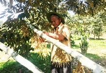 Vùng đồng bào dân tộc thiểu số: Phát huy vai trò người có uy tín