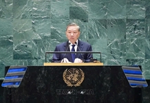 Vị thế Việt Nam ngày càng được nâng cao trên trường quốc tế