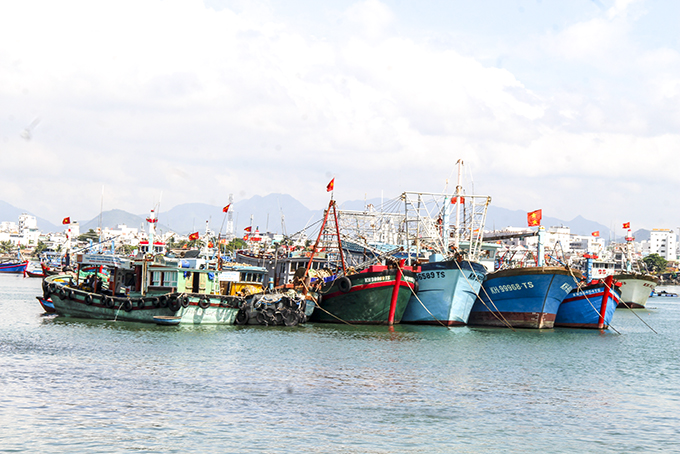 Nguy cơ tàu cá nằm bờ