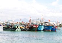 Nguy cơ tàu cá nằm bờ