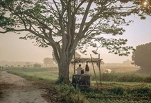 Ranh giới của nghệ thuật