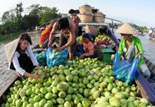 Một số vấn đề xã hội và quản lý phát triển xã hội trong tình hình mới 