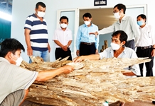 Gỡ khó cho sản phẩm OCOP