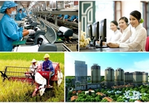 Phản bác quan điểm “Đảng không nên lãnh đạo kinh tế”