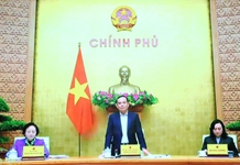 Tiếp tục đẩy nhanh tiến độ xây dựng, quản lý vị trí việc làm