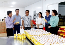 Nhiều sản phẩm OCOP chất lượng cao