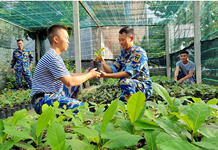 Vâng lời Bác dạy, quân và dân Trường Sa phủ xanh quần đảo