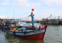Theo cờ Tổ quốc vươn khơi