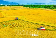 Nâng cao hiệu quả hoạt động các hợp tác xã