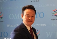 Việt Nam tiếp tục đóng góp cho hòa bình và phát triển