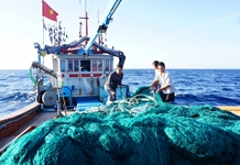 Tập trung gỡ “thẻ vàng” IUU