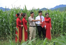 Agribank Khánh Hòa triển khai có hiệu quả các chính sách tín dụng đầu tư phát triển nông nghiệp nông thôn