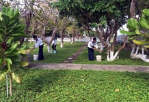 Giữ mầu xanh cho quần đảo Trường Sa