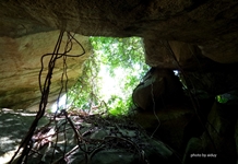 Đồng Bò trong ký ức