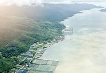 Ninh Hòa tạm dừng tiếp nhận giải quyết hồ sơ chuyển mục đích sử dụng đất