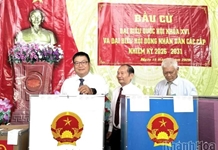 Trưởng Ban Tuyên giáo và Dân vận Tỉnh ủy Võ Hoàn Hải dự lễ khai mạc bầu cử tại Khu vực bỏ phiếu số 23, phường Nha Trang