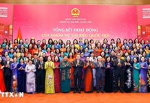Tăng cường vai trò và ảnh hưởng của nữ đại biểu trong các cơ quan dân cử ở Việt Nam