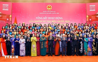 Tăng cường vai trò và ảnh hưởng của nữ đại biểu trong các cơ quan dân cử ở Việt Nam
