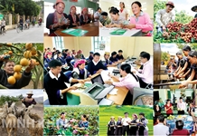 Nâng cao hiệu quả quản lý nhà nước về an sinh xã hội theo tinh thần Nghị quyết Đại hội XIV của Đảng