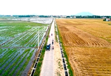 Cơ hội xuất khẩu nông sản chính ngạch