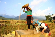 Các yếu tố tác động đến thực hiện chính sách phát triển nguồn nhân lực là người dân tộc thiểu số ở Việt Nam