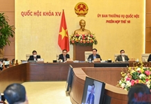 Khuyến khích xã hội hóa công tác phòng, chống bạo lực gia đình
