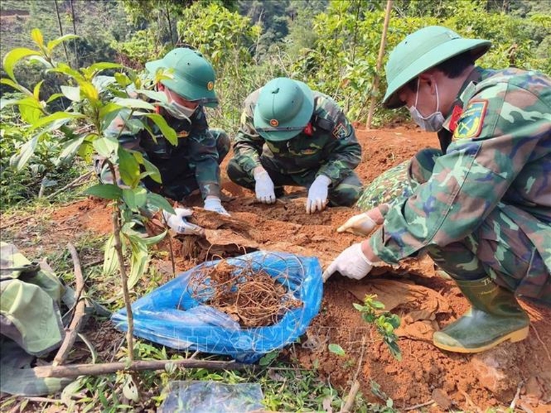 Đẩy mạnh thực hiện “Chiến dịch 500 ngày đêm” tìm kiếm, quy tập và xác định danh tính hài cốt liệt sĩ