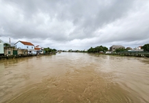 Lũ trên sông Dinh Ninh Hòa đang giảm, toàn tỉnh tiếp tục có mưa