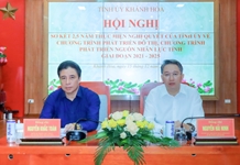 Sơ kết 2 năm rưỡi thực hiện Chương trình phát triển đô thị và Chương trình phát triển nguồn nhân lực