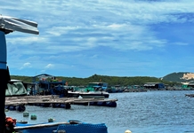 Vụ việc nhóm người hành hung, ép bán tôm hùm giá rẻ ở vịnh Vân Phong: Khẩn trương điều tra, xác minh