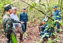 Tìm dấu tích liệt sĩ trong ký ức đồng bào